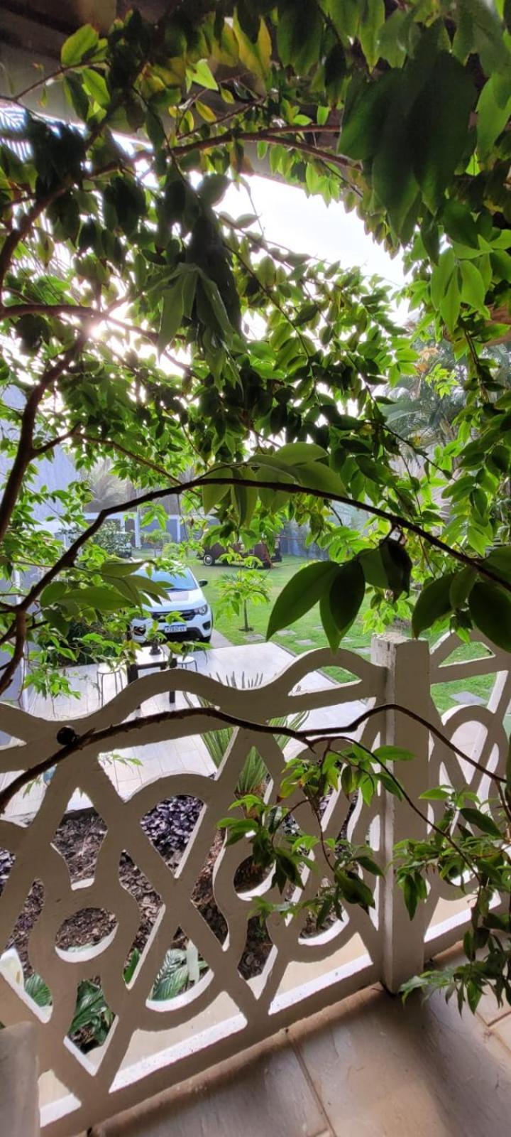 ReCanto dos Passáros - Bed&Breakfast Rio de Janeiro Esterno foto